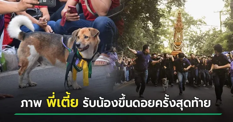 引起眾人的眼光