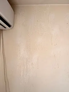 廚房清潔劑融解的菸油..冷氣很白是因為已經洗過了！