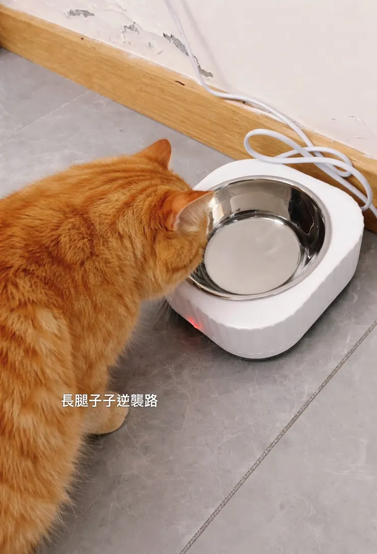 橘子也喜歡🧡🧡🧡