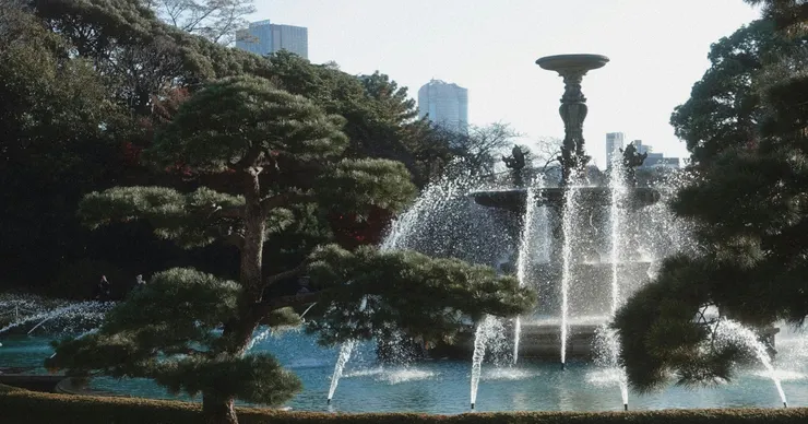 Photo by Alicja Podstolska on Unsplash