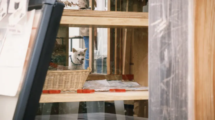 （圖／@baithi840824）