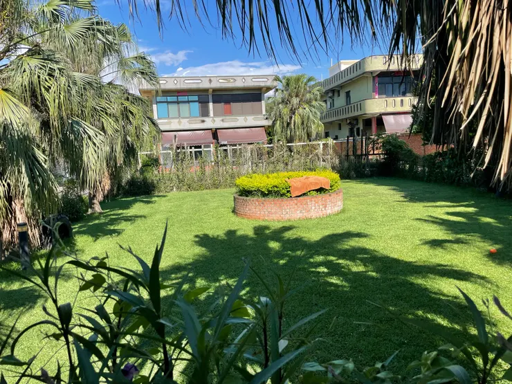 這裡有很多區域，不用擔心如果有很多毛小孩會打架