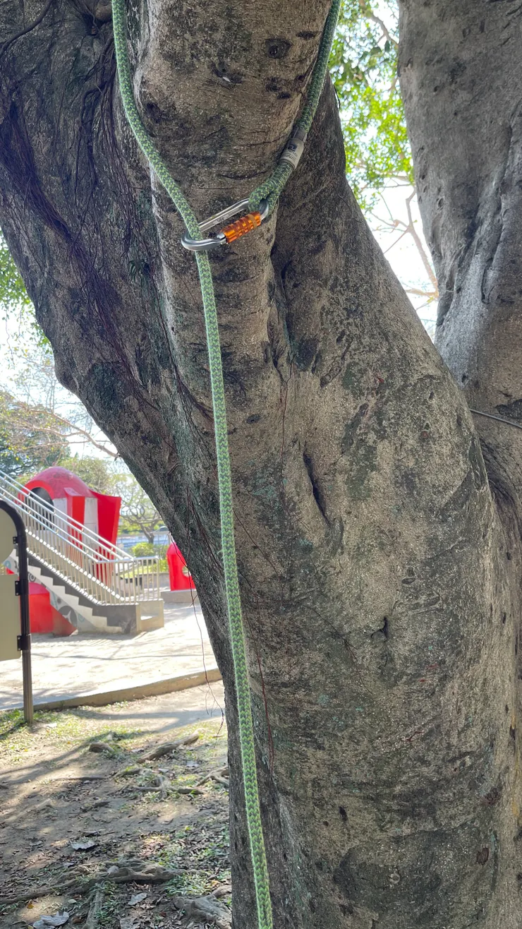 頂部固定點-勾環