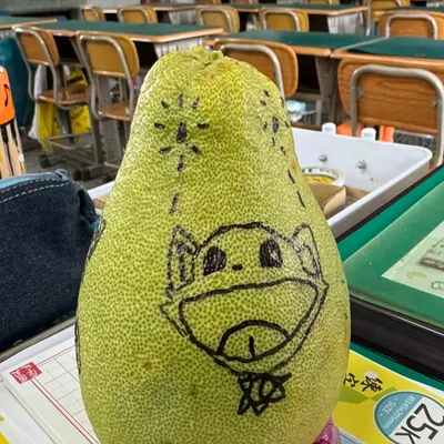 Flynn福來富來恩就來