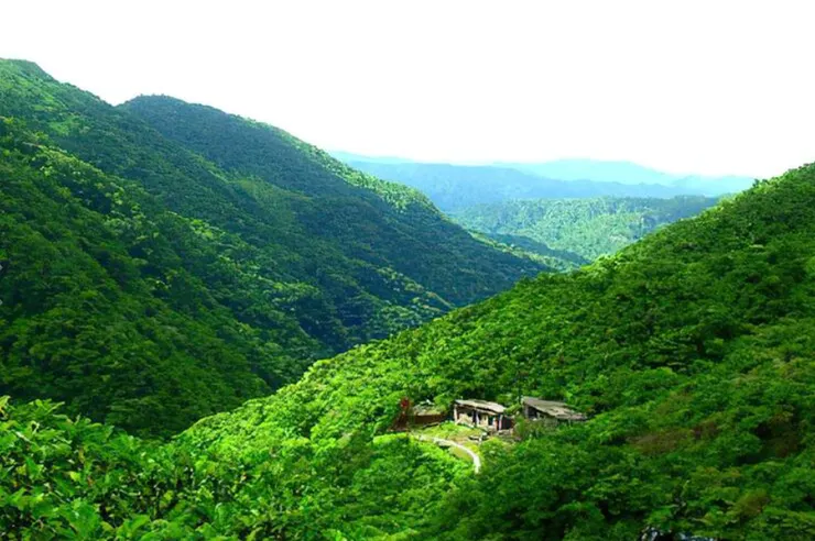 大粗坑古道一帶荒廢的礦業聚落遺構(圖片來源:新北市觀光旅遊網)