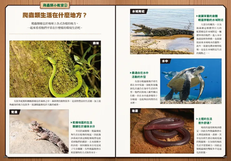 爬蟲類棲息地介紹｜最強戰鬥6 危險爬蟲類 最強王者大戰圖鑑｜小角落文化