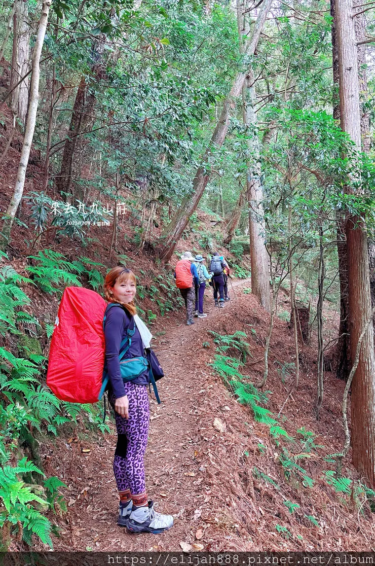 【大霸群峰4百岳。兩天一夜】觀霧大鹿林道東線騎越野單車/馬達