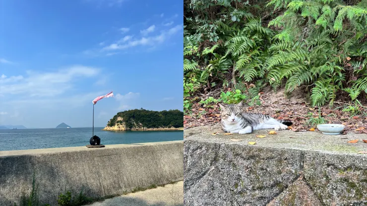 （左）沿岸騎行的風景，有大槌島！（右）太快樂騎過頭，遇見的阿拿貓｜2025.08.26拍攝