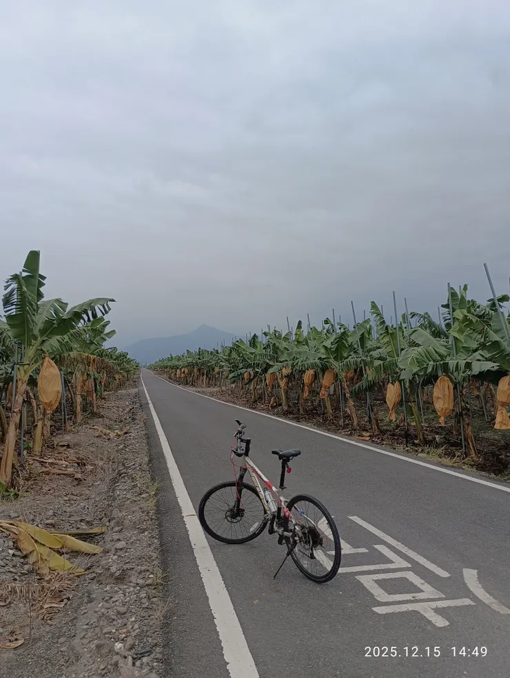 相逢蕉園總無言