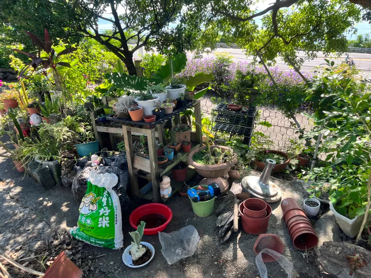 整理出一大堆空盆還有超級多螞蟻!