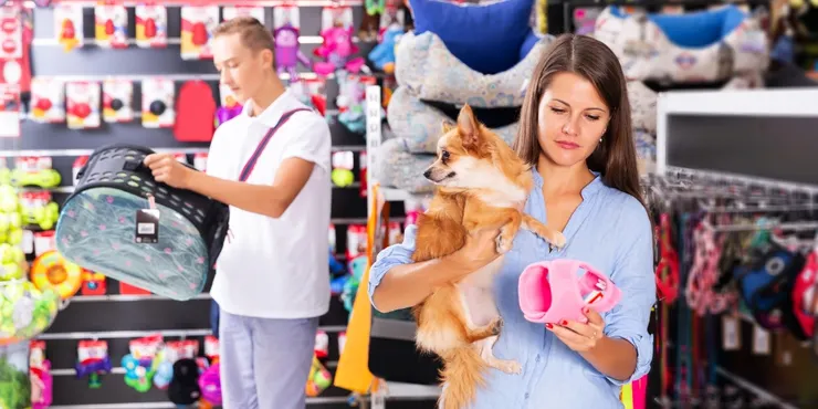 打造您的熱銷店鋪 !寵物用品批發選品與供應鏈一次掌握 !
