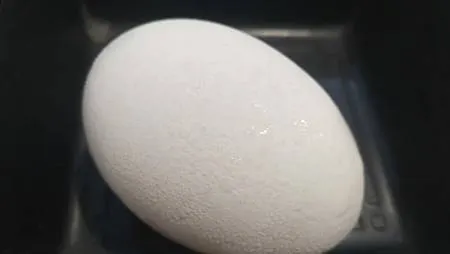 [台北美食]熊貓平台百萬人氣商店、四星級特約商家，獨家每日熬