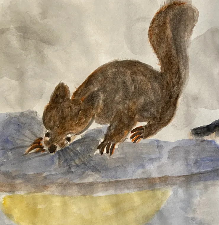 在林中尋找適合自己的樹吧