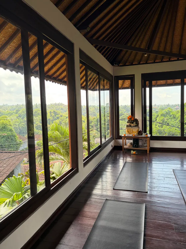 教室環境，做瑜珈時可以看到整片的山林
