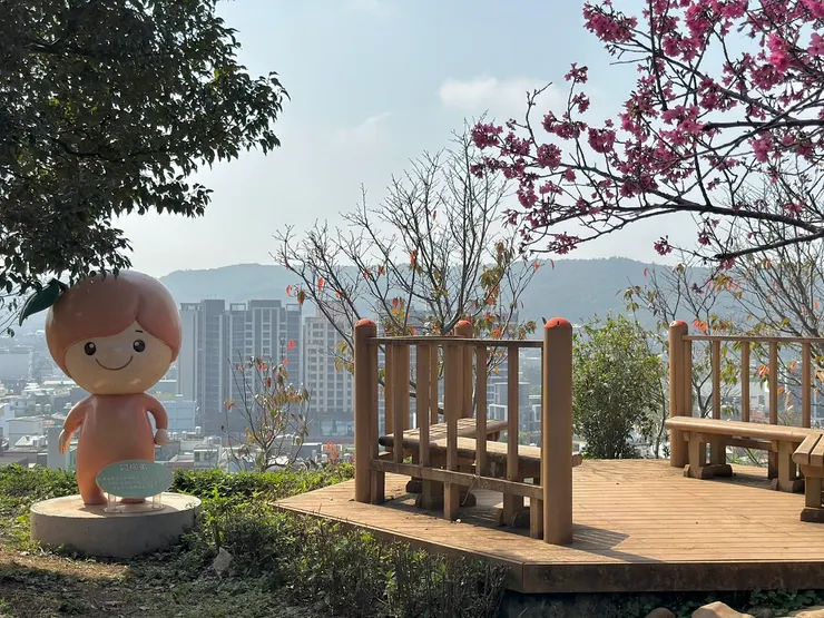 一邊賞櫻一邊眺望新埔市景，非常愜意