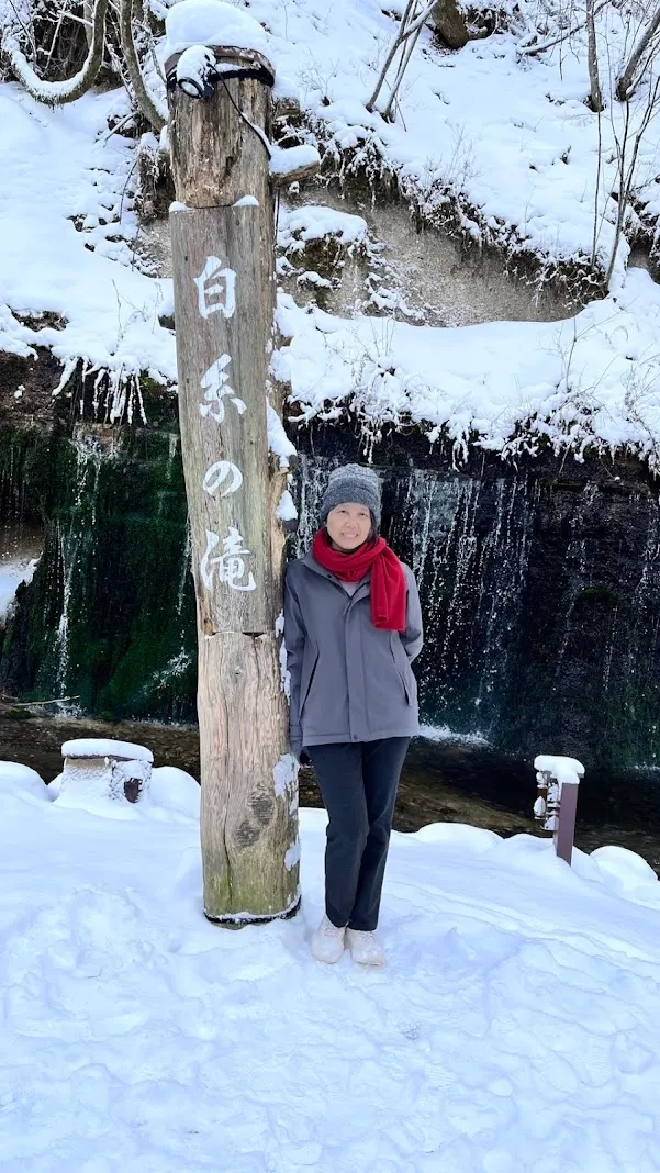 輕井澤美麗的雪景