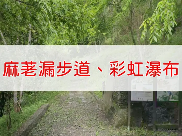 【台東】麻荖漏步道、彩虹瀑布 | 全長里程：單程1.16公里 | 難易度：低至中（前段平緩，後段有陡坡與溪流跨越）