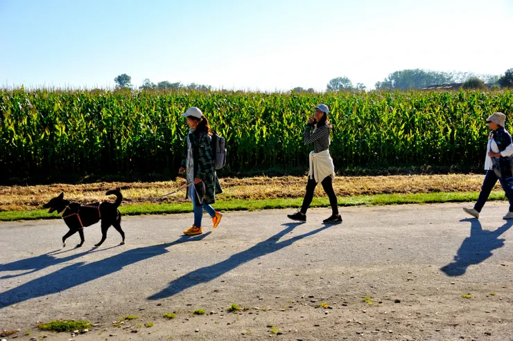 【從停車場到標的別偷懶搭接駁車 四十五分鐘走拍三公里絕不嫌多！停了車遠遠望見天空之城如夢似幻地矗立平野，立時決定步行，稍稍體驗古人朝聖的心情。】