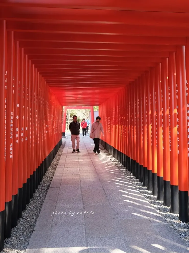 整排的鳥居隧道是神社的人氣打卡點,也是前往犬山城的必經之路。
