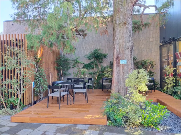 樟樹下有戶外座位區