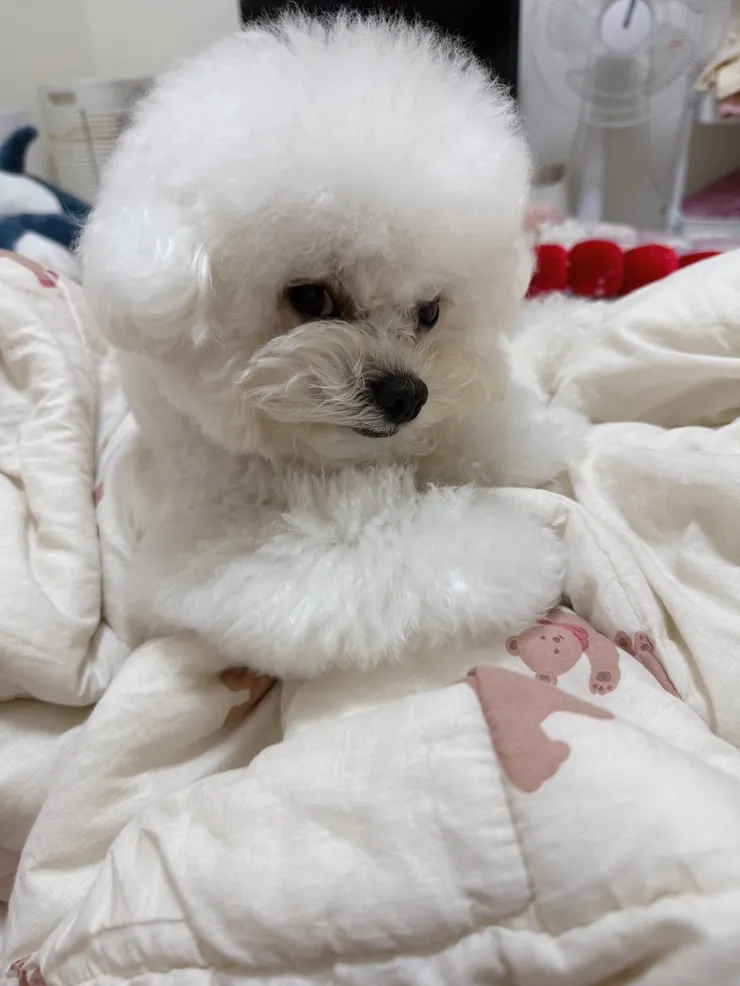 看這眼神.....就懂了