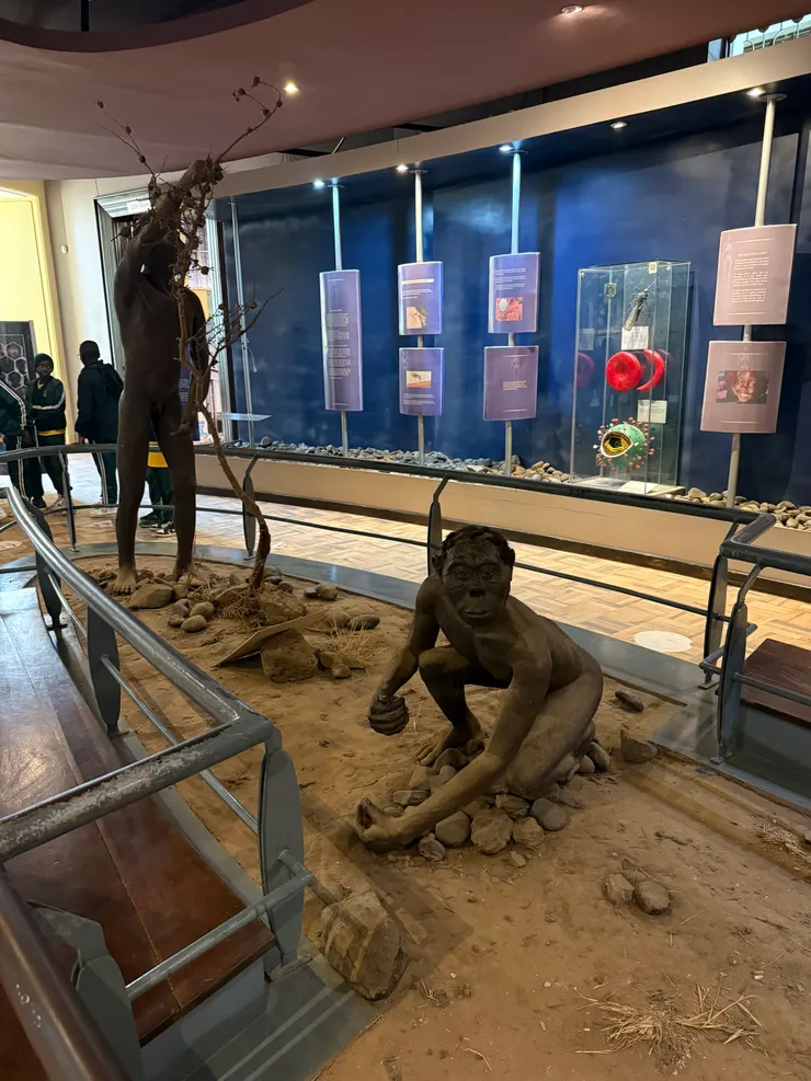 最早的人類起源從非洲大陸開始