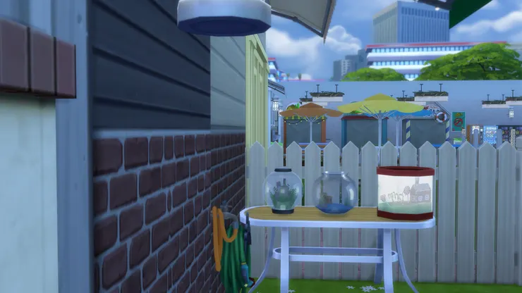 學校所養的都是小型魚類，例如熱帶魚和小丑魚，不過現在沒有養，待新學期開始吧。