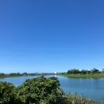 Cassina的沙龍