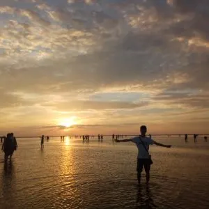 夢幻空花的沙龍