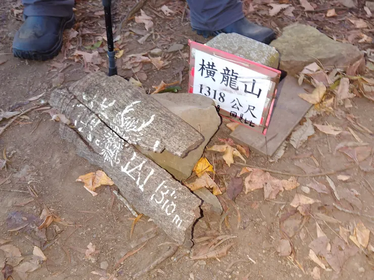 斷兩半的木牌有畫一個龍頭