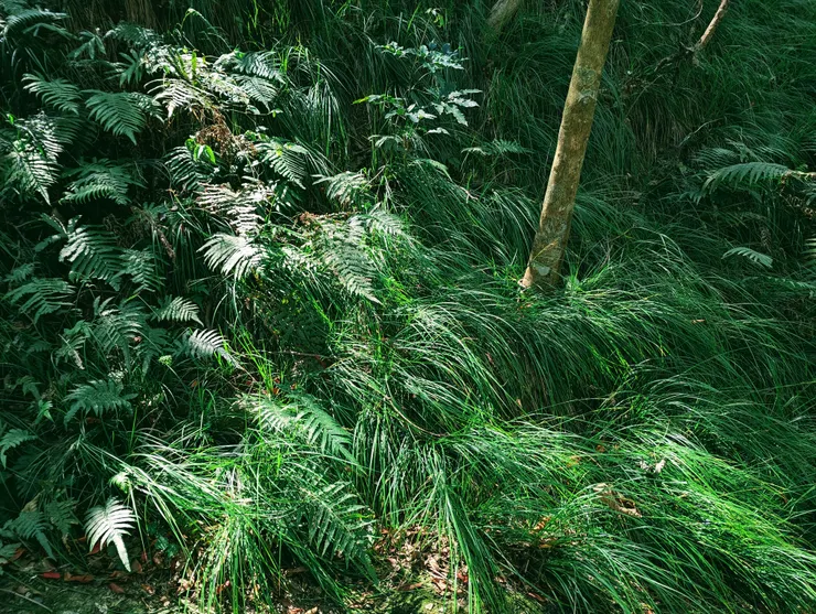 攝於二二八的早晨