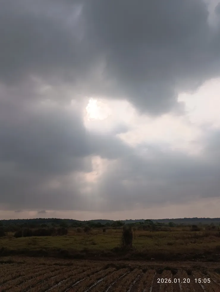 冬水冷天半斂眉