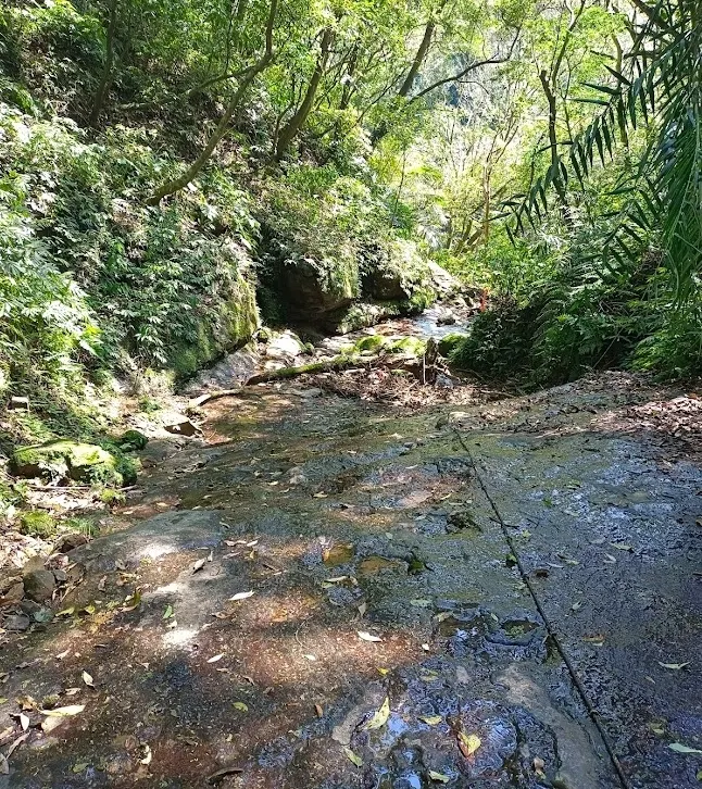 【雙北遊】三貂嶺瀑布步道走到猴硐｜中坑古道×柴寮古道  猴硐