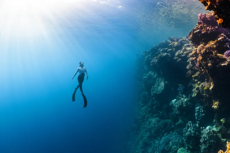 https://unsplash.com/photos/a-person-swimming-in-the-ocean-near-a-coral-reef-g_suks3yx-U