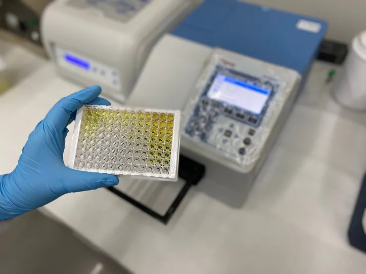 圖說:精準檢測「硫酸吲哚酚」輔助評估腎功能,對於腎友共病發展及潛在心血管風險,具有重要參考價值。(資料來源:偉喬生醫)