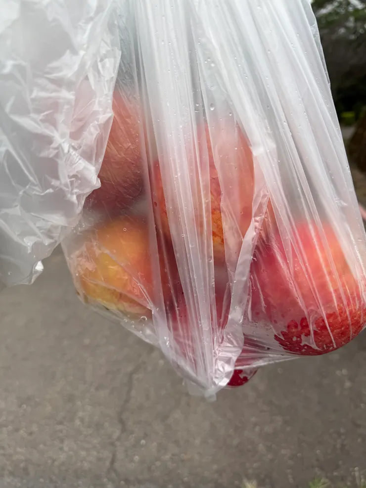 2025/12/19 快遞小哥送蘋果