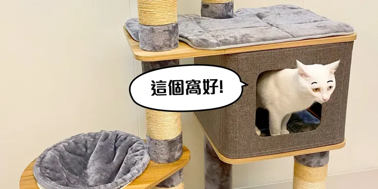 此貓窩正面、側面都有洞口可進出!