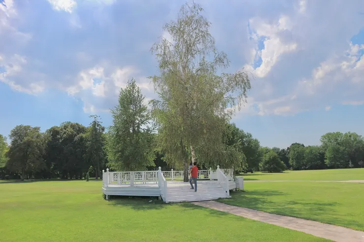 草皮上很多適合辦婚禮的小舞台