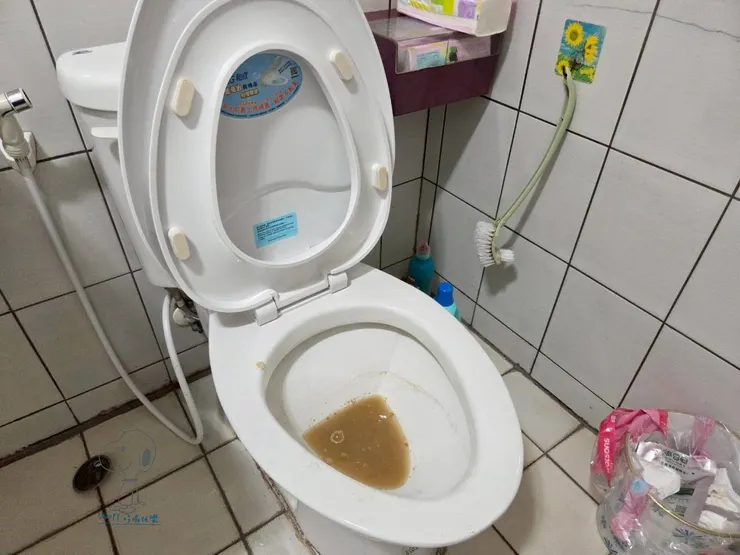 建議睡前使用，才能讓酵素充分發揮作用，或是如果家中有多間廁所的話，可以先使用其他間