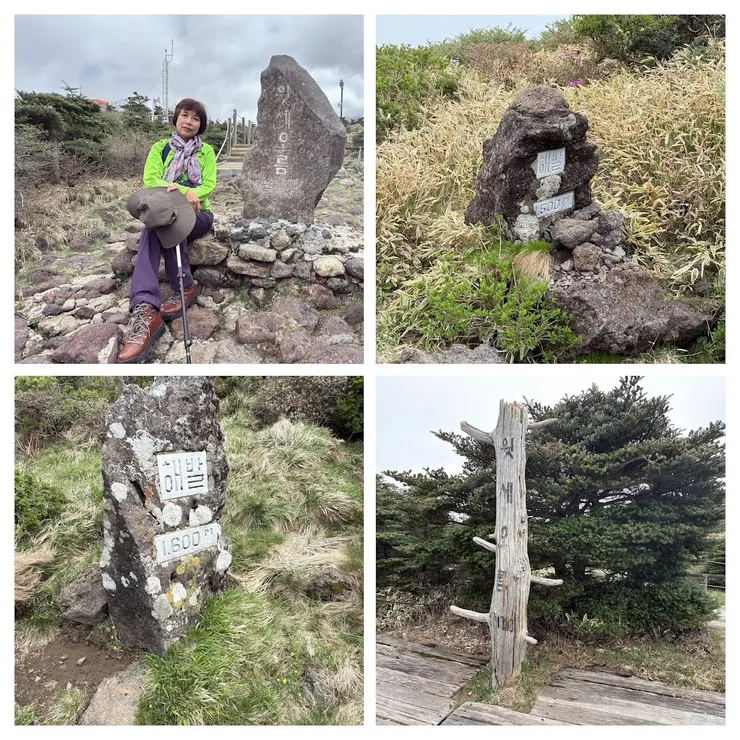 靈室線地標集錦