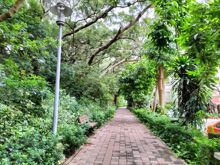 新竹步道一景/Mingling攝