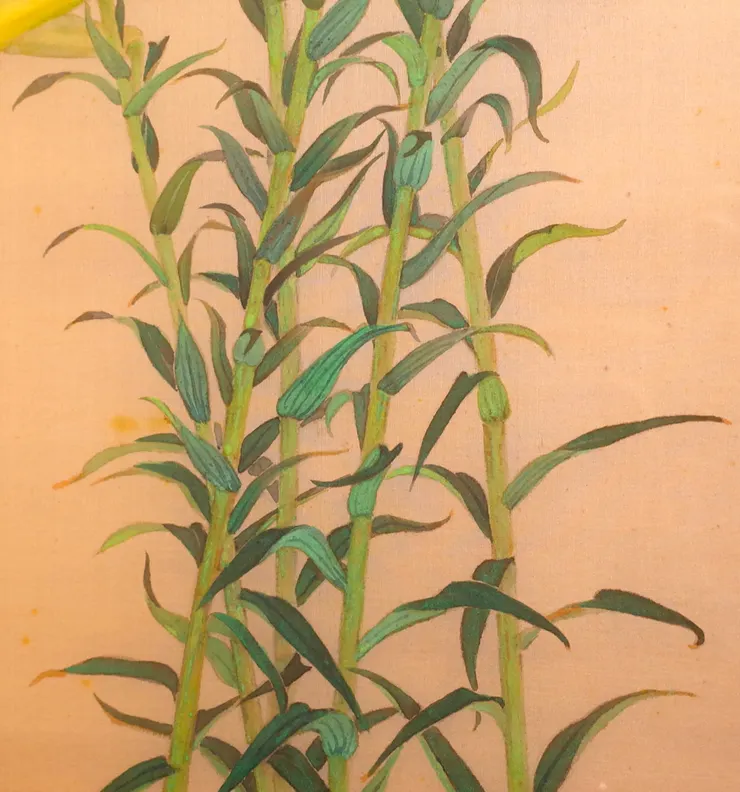 〈野地百合〉局部－百合葉