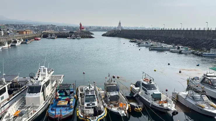 從不同角度看梨湖小馬燈塔