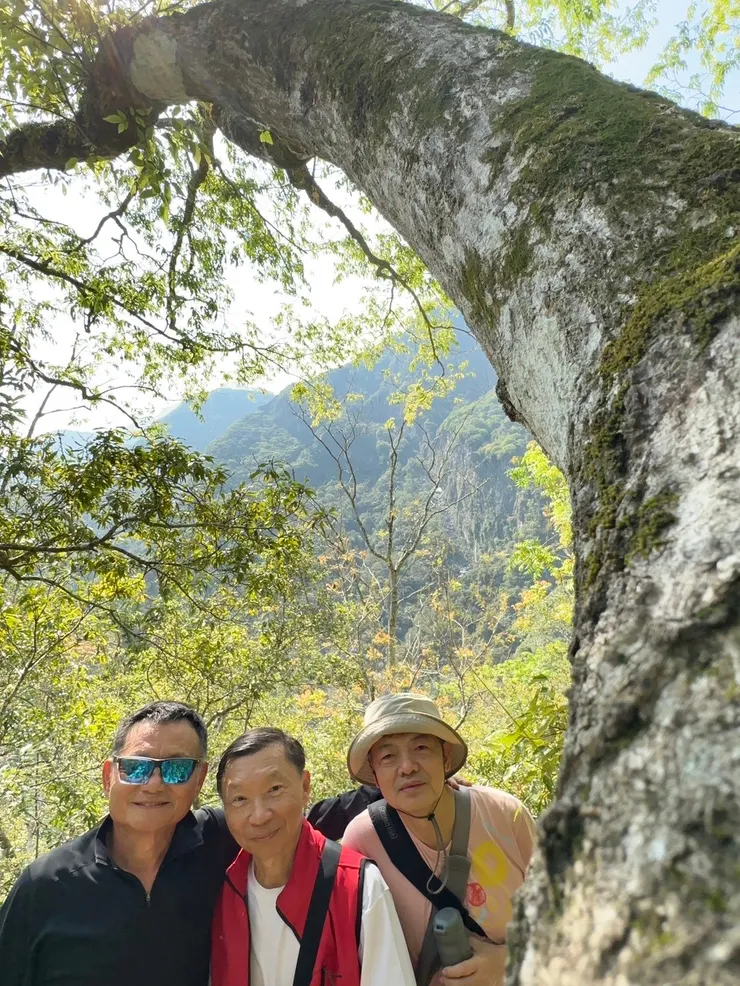 【腿軟氣促迷途知返不敢勉強！綠水文山步道，實在撐不住了，佳源雖然說如果裝備夠應該没問題，但全長可是5.5KM啊！我們決定迷途知返，在這約500米處的大樹下合照一張。佳源攝。】
