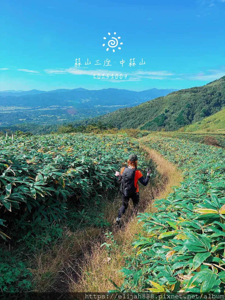 【2025初秋.岡山県真庭市】蒜山三座縱走/下蒜山(海拔11