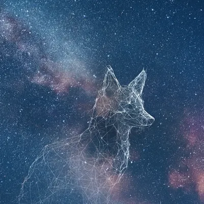 MLakithea@平行宇宙