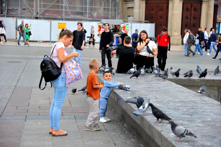【羣鴿目中無人總為爭食一陣騷亂！但幼童也自玩他們的小車車。】