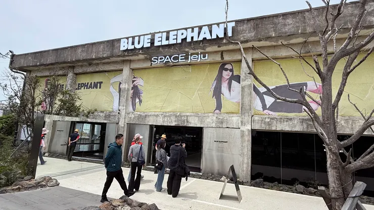 廢墟風的眼鏡店