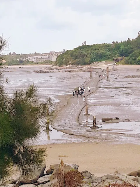 金門建功嶼摩西分海退潮海景