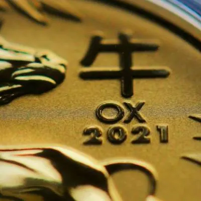 最近學紫微：解析紫微斗數中 12 地支的特質